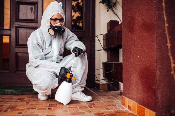 Reliable Wasp Removal contractor in Fort Drum, NY by Show Me Pest Control